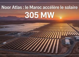 Noor Atlas : lancement d’un programme solaire de 305 MW porté par l’ONEE et Masen