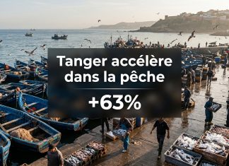 Port de Tanger : les débarquements de pêche bondissent de 63% au T1 2026