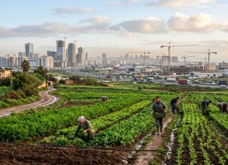 Maroc : la croissance économique accélère à 5% au T1-2026 selon le HCP