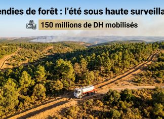 Feux de forêt : le Maroc muscle son dispositif de prévention avant l’été