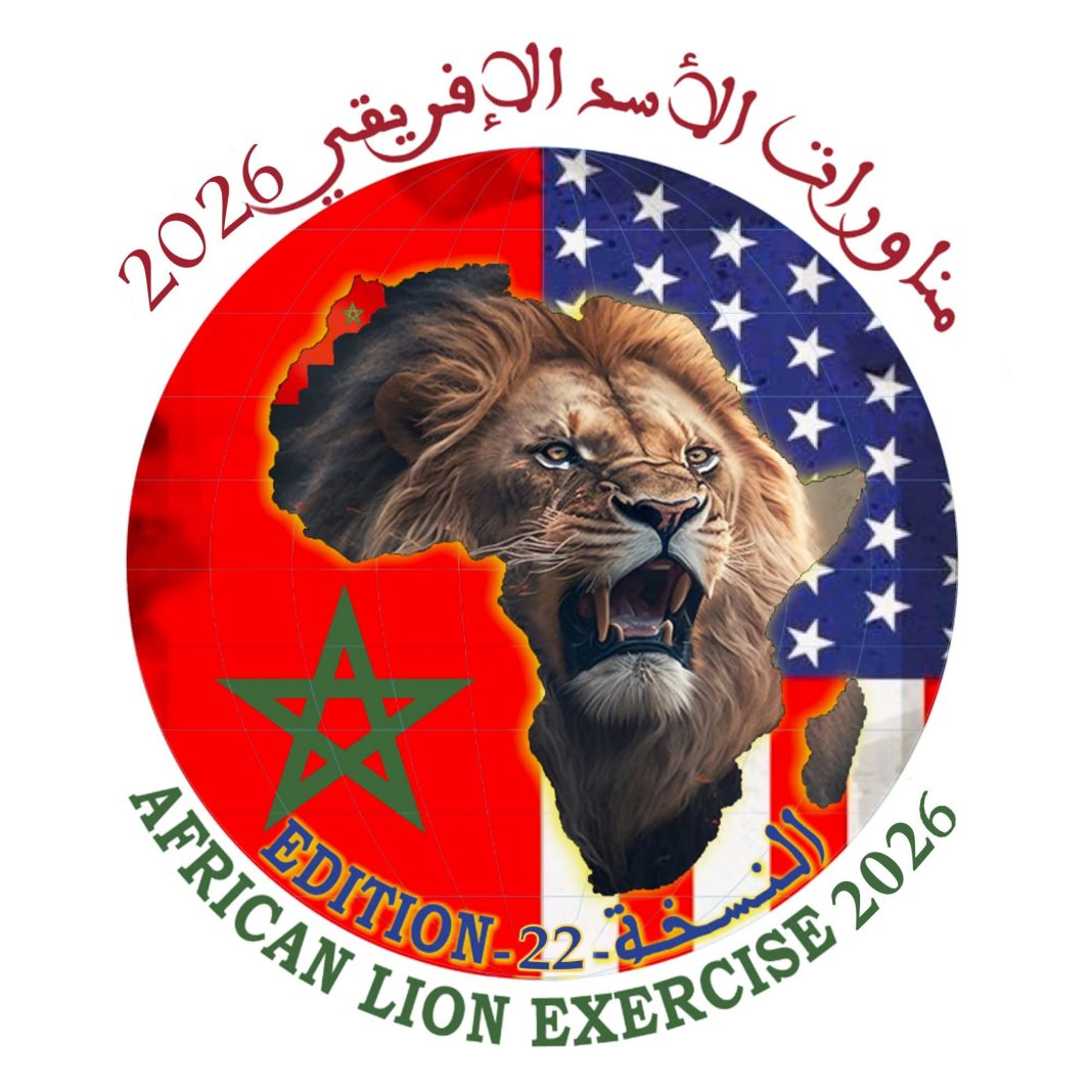 African Lion 26