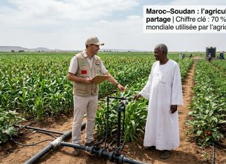 Le Soudan veut renforcer sa coopération agricole avec le Maroc