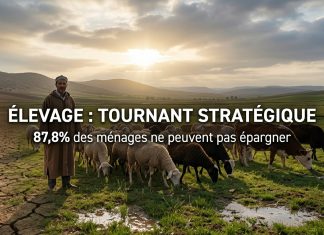 Production animale : vers un tournant stratégique pour la souveraineté alimentaire