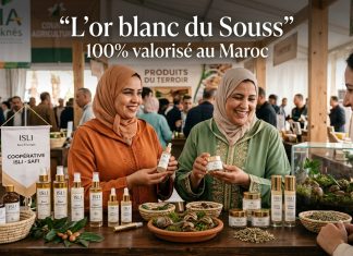 Bave d’escargot : à Taroudant, des femmes transforment un actif rare en industrie locale