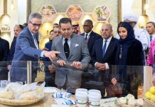 SAR le Prince Moulay Rachid préside à Meknès l’ouverture de la 18e édition du Salon International de l’Agriculture au Maroc