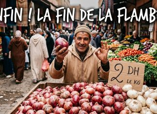 Maroc : Les prix des légumes s’effondrent, l’oignon touche les 2 DH au marché de gros