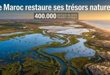 Le Maroc accélère la restauration de ses zones humides face aux défis climatiques
