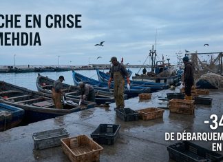 Port de Mehdia : forte baisse des débarquements de pêche à fin mars 2026