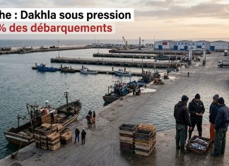 Port de Dakhla : forte baisse des débarquements de la pêche à fin avril 2026