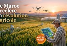 Le Maroc devient un modèle africain de transformation agricole