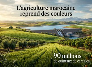 Campagne agricole 2025-2026 : forte reprise de la production