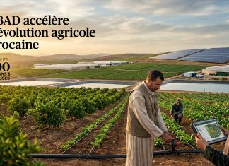 La BAD renforce la transformation durable du secteur agricole marocain