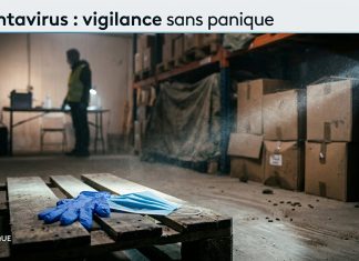 Hantavirus au Maroc : les autorités appellent à la vigilance sans céder à l’inquiétude