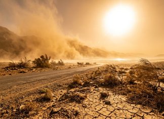 Alerte météo : vague de chaleur jusqu’à 46°C et tempêtes de sable dans plusieurs provinces