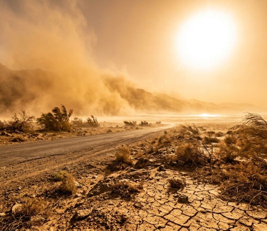Alerte météo : vague de chaleur jusqu’à 46°C et tempêtes de sable dans plusieurs provinces