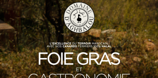 Domaine d’Aghbalou et Gault & Millau Maroc : l’alliance du terroir et de l’excellence gastronomique