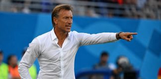 Hervé Renard, nouveau pari tunisien en plein Mondial