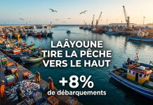 Pêche à Laâyoune : hausse de 8% des débarquements