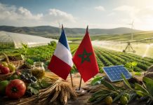 Agriculture : les entreprises françaises veulent accélérer leurs investissements au Maroc