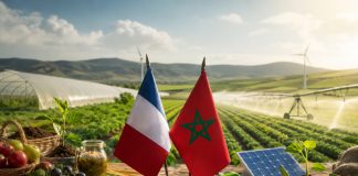 Agriculture : les entreprises françaises veulent accélérer leurs investissements au Maroc