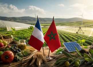Agriculture : les entreprises françaises veulent accélérer leurs investissements au Maroc