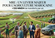 Les Marocains du Monde renforcent leur rôle dans le développement agricole