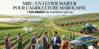 Les Marocains du Monde renforcent leur rôle dans le développement agricole