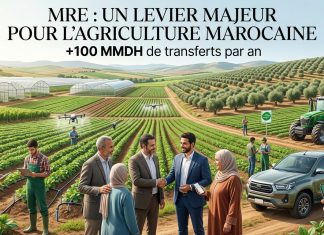 Les Marocains du Monde renforcent leur rôle dans le développement agricole
