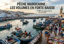 Pêche côtière et artisanale : recul des volumes à fin mai 2026