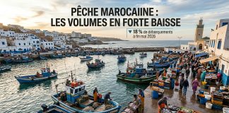 Pêche côtière et artisanale : recul des volumes à fin mai 2026