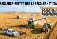 Casablanca-Settat : une production céréalière attendue à 25,8 millions de quintaux en 2026