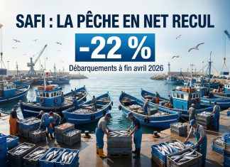 Port de Safi : les débarquements de la pêche reculent de 22 % à fin avril
