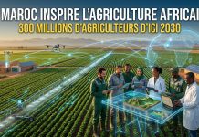 Le Maroc, modèle africain de la transformation agricole