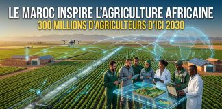 Le Maroc, modèle africain de la transformation agricole