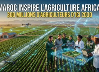Le Maroc, modèle africain de la transformation agricole