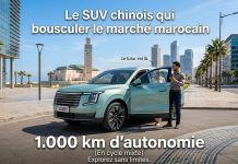 Automobile : SOUEAST mise sur l’hybride rechargeable pour accélérer sa croissance au Maroc