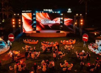 SOUEAST renforce son offensive en Égypte avec deux SUV hybrides rechargeables