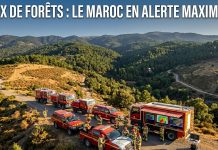 Feux de forêts 2026 : le dispositif national de prévention pleinement opérationnel au Maroc