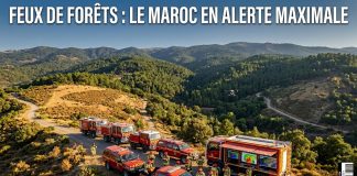 Feux de forêts 2026 : le dispositif national de prévention pleinement opérationnel au Maroc