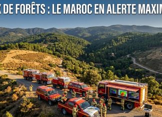 Feux de forêts 2026 : le dispositif national de prévention pleinement opérationnel au Maroc
