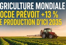 L’OCDE et la FAO prévoient une hausse de 13 % de la production agricole mondiale d’ici 2035