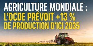 L’OCDE et la FAO prévoient une hausse de 13 % de la production agricole mondiale d’ici 2035