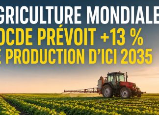 L’OCDE et la FAO prévoient une hausse de 13 % de la production agricole mondiale d’ici 2035