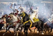 Salon du Cheval d’El Jadida : la 17e édition annoncée du 13 au 18 octobre 2026