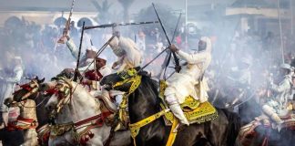 Salon du Cheval d’El Jadida : la 17e édition annoncée du 13 au 18 octobre 2026