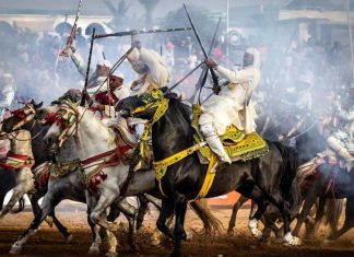 Salon du Cheval d’El Jadida : la 17e édition annoncée du 13 au 18 octobre 2026