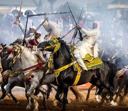 Salon du Cheval d’El Jadida : la 17e édition annoncée du 13 au 18 octobre 2026