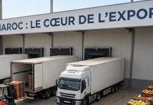 Changement climatique : le Maroc renforce sa position dans les fruits et légumes