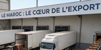 Changement climatique : le Maroc renforce sa position dans les fruits et légumes