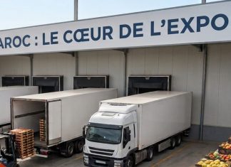 Changement climatique : le Maroc renforce sa position dans les fruits et légumes